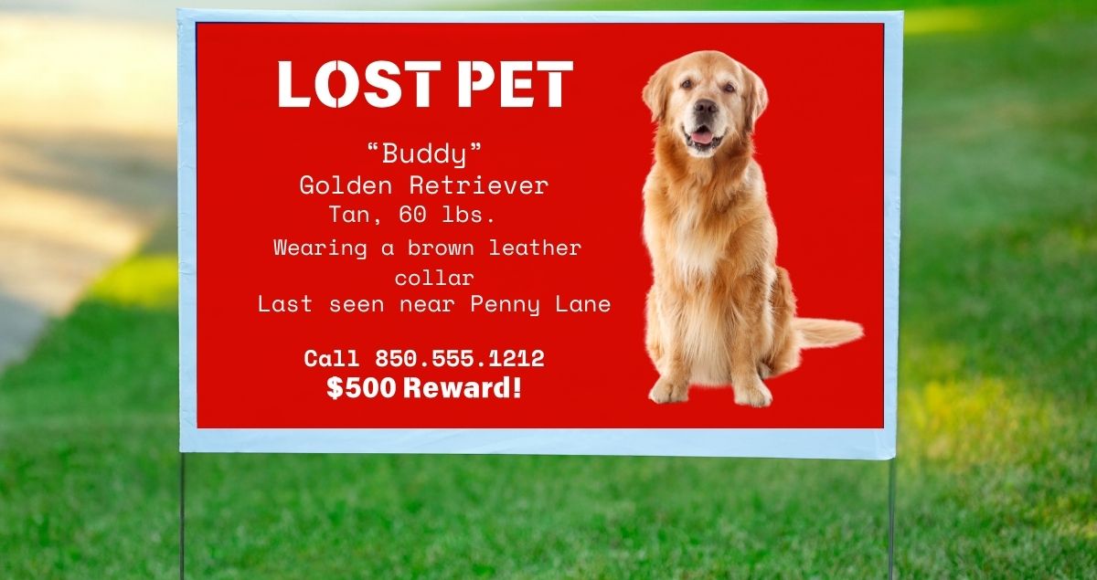 How to Design a Lost Pet Sign | Target Print & Mail